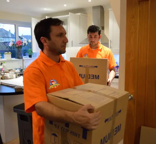 removals expert moving service